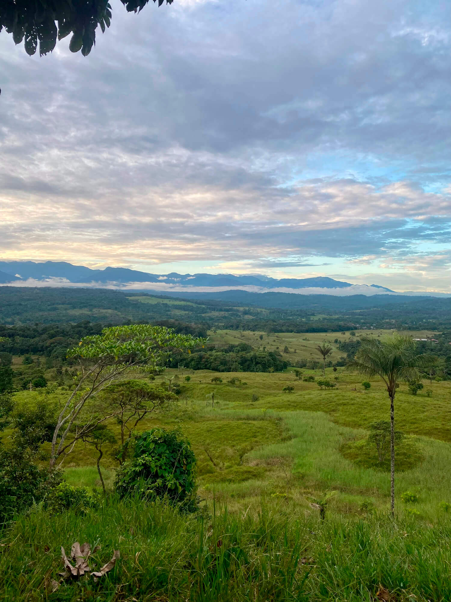 Entre la Cordillera de los Andes y la Amazonía